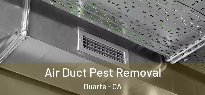 Air Duct Pest Removal Duarte - CA