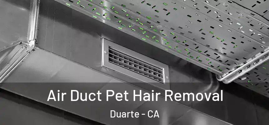  Air Duct Pet Hair Removal Duarte - CA