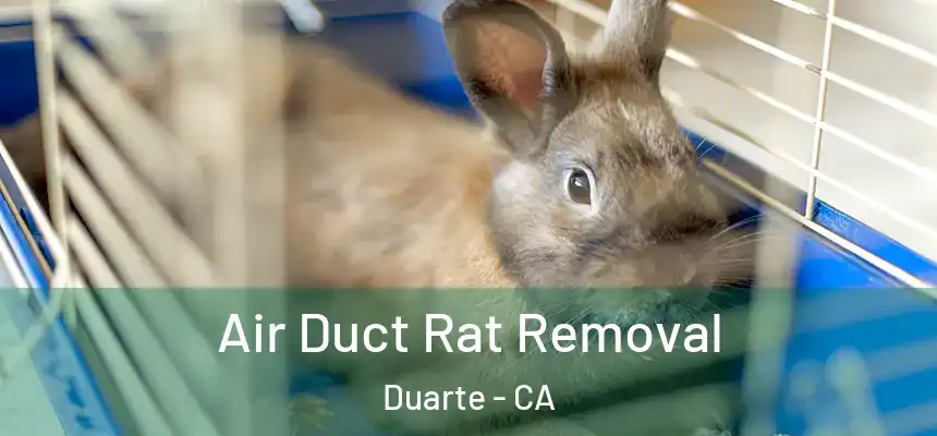 Air Duct Rat Removal Duarte - CA
