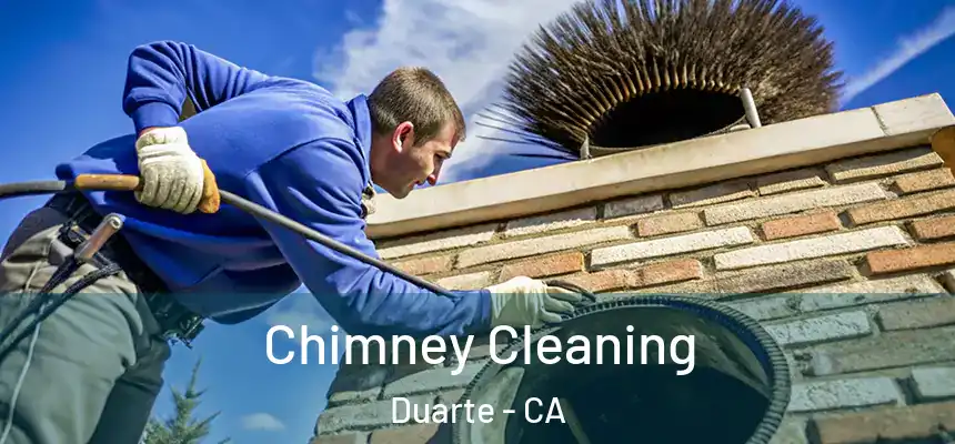 Chimney Cleaning Duarte - CA