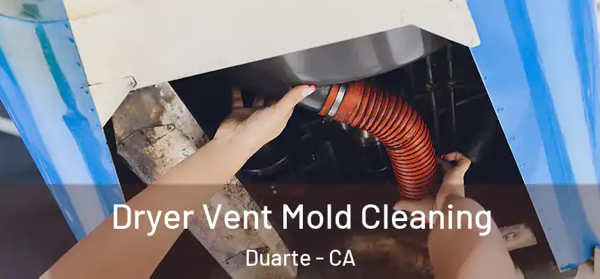  Dryer Vent Mold Cleaning Duarte - CA
