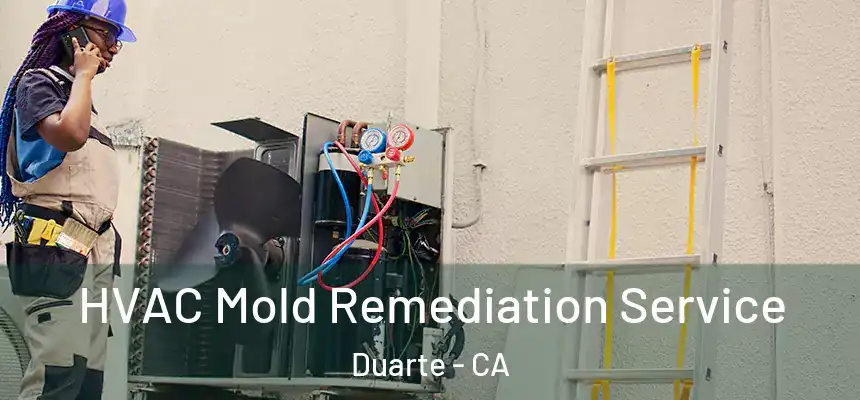  HVAC Mold Remediation Service Duarte - CA