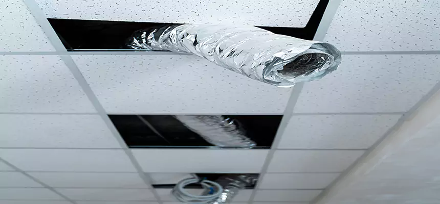 Our Air Duct Pet Hair Removal Services in Duarte, CA