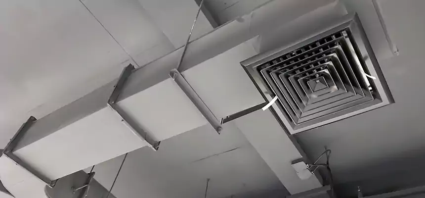 Restorative Allergy Relief Vent Cleaning – Coil, Blower & Housing Detail in Duarte