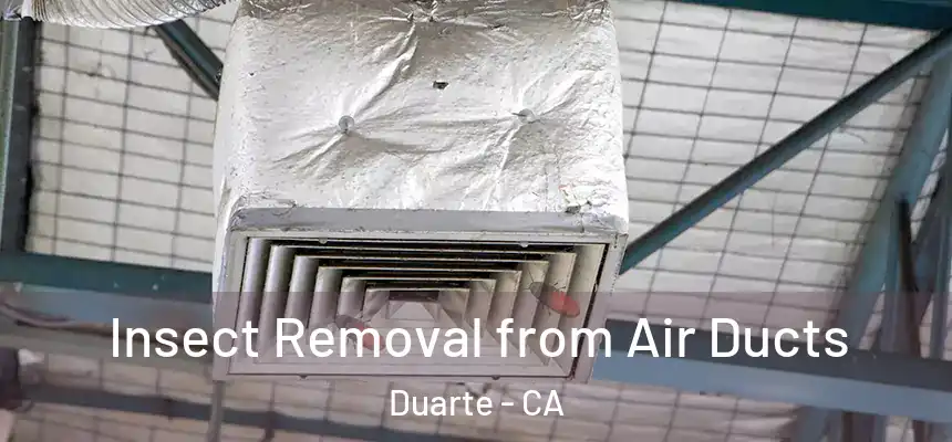 Insect Removal from Air Ducts Duarte - CA