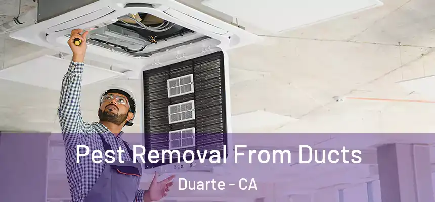 Pest Removal From Ducts Duarte - CA