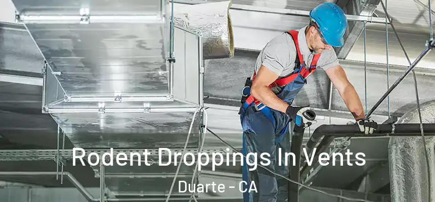 Rodent Droppings In Vents Duarte - CA