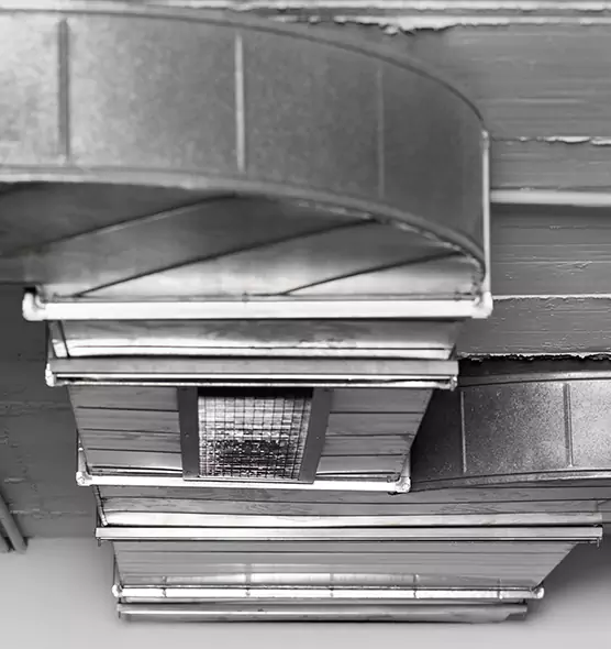 Professional Air Duct Pest Removal in Duarte, CA