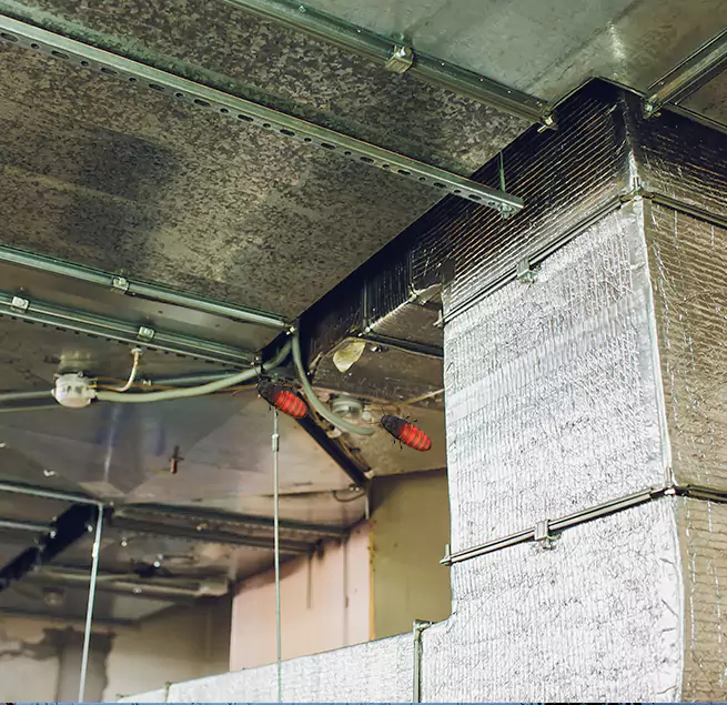 Why Homeowners & Businesses Trust Us in Duarte, CA?