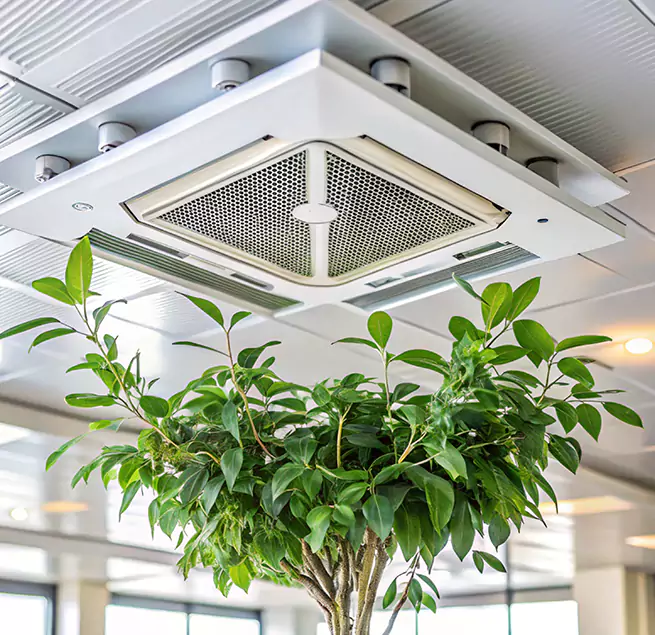 Why Homeowners & Businesses Trust Us in Duarte, CA?