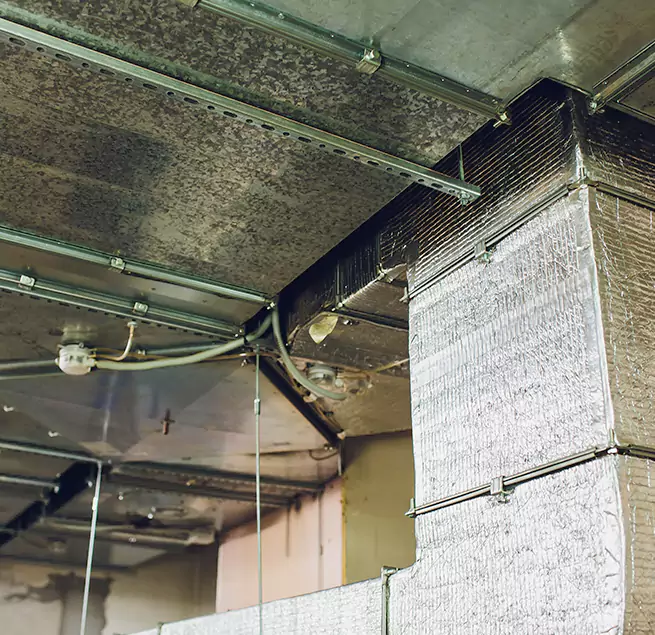 Why Homeowners & Businesses Trust Us in Duarte, CA?